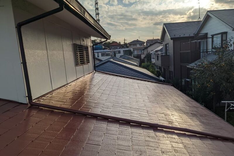 image_6483441 (4)